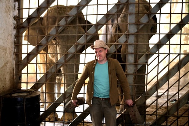 Dipl.-Biol. Tobias Dornbusch with Asian Elephants. Photo: Archiv T. Dornbusch.